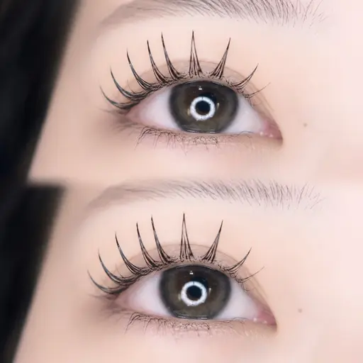 🎁フィニックスコーティング剤1本プレゼント|フラットラッシュ120本まで🌟【オフ込】¥8,000