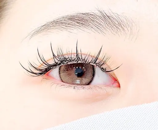 【minimo限定🌟モニター】ボリュームワンホン👀