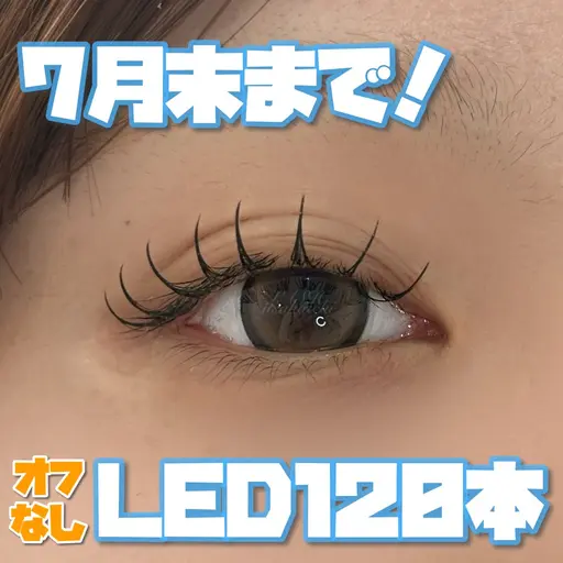 LEDフラットラッシュ120本(オフなし)束感仕上げコーティング付き