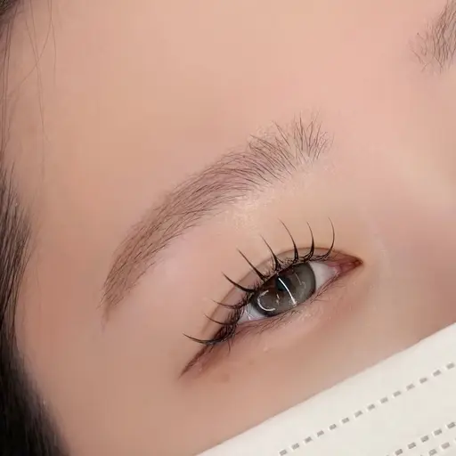 🎀練習モデル🎀 《平日限定》美眉WAX (間引き・メイク込)＋まつげパーマ