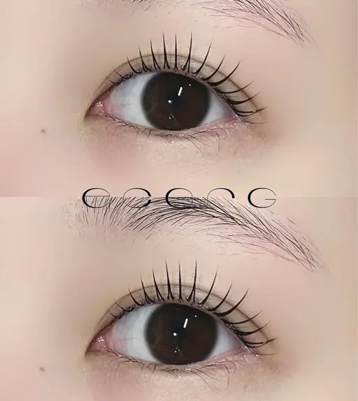 🎀無料マツエクモデル🎀100本前後フラットSCカール11mm (オフなし)※補足をしっかりとお読みください