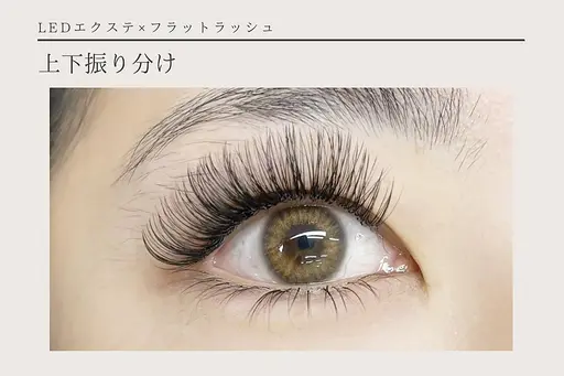 ⚠️予約リクエスト⚠️1日1名限定🎀上100本(ボリュームラッシュ×フラットラッシュ)・下30本🎀¥3000