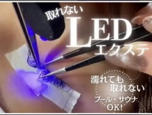 led +束感仕上げ+フラットラッシュ100本 オフ無料