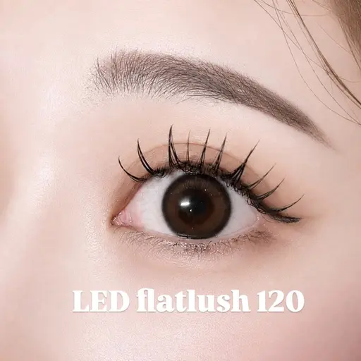 🫧LED×フラット100本or120本(オフ込)