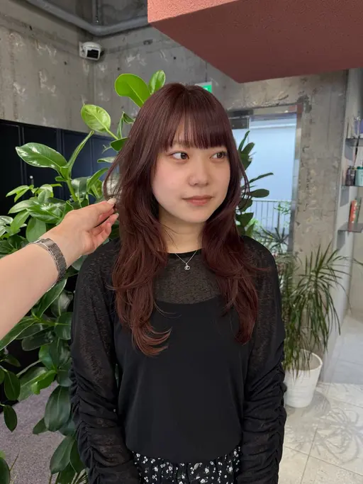 【✨️人気メニュー✨️】カット+カラー+Aujua4stepトリートメント