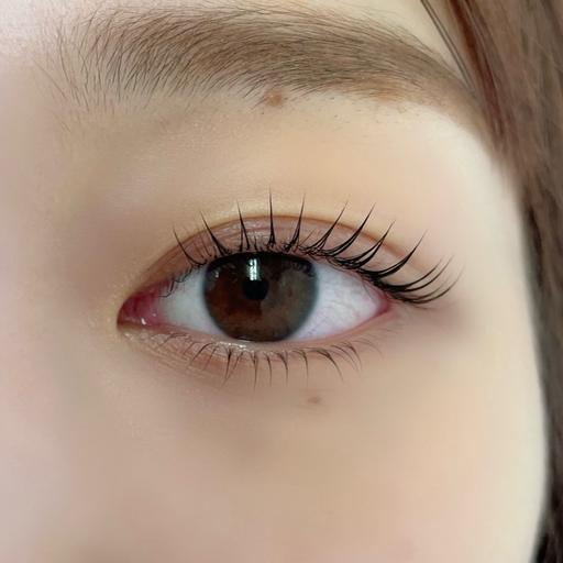 【10/29 11:30​〜​限定】✨下まつげパーマ✨練習モデル様 募集中