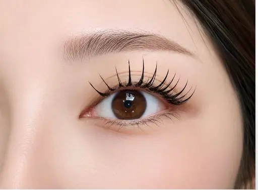 アンドヘルシー×フラットラッシュ100or120本🌱束感仕上げ(オフ込み)