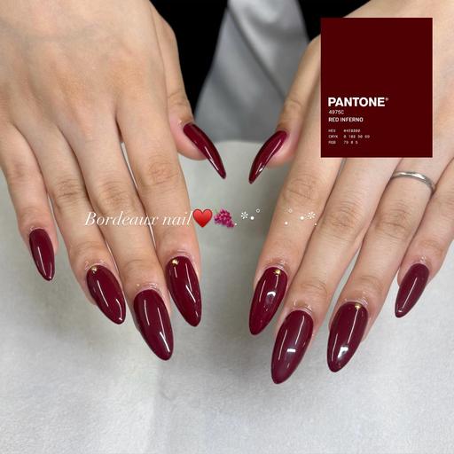 【オフあり】直前割り❣️ハンドモデル💅チップ10本ワンカラーコース✨〈パラジェル/バイオ/長津田〉