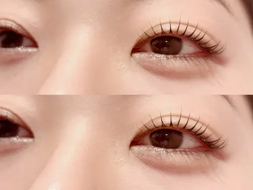 7月4.5日限定✨✨アッパーリフトカール&眉毛ワックス 10800円→6240円