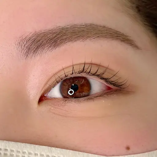 フラットマットラッシュ120本✖️美眉スタイリング