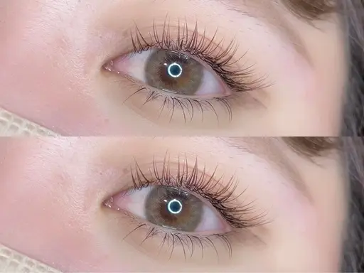 🌙 フラットラッシュ 100本 🌙