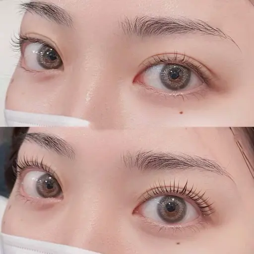 【技術向上のため】一重の方向けまつ毛パーマモデル募集