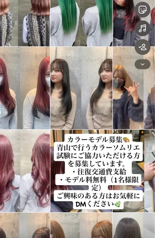 MILBONカラーソムリエ検定 カラーモデル ワンカラー