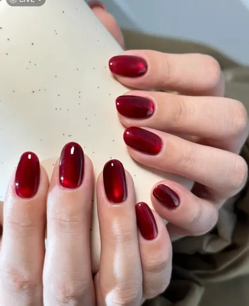 新規限定🩷マグネットネイル🧲💅¥3980オフなし