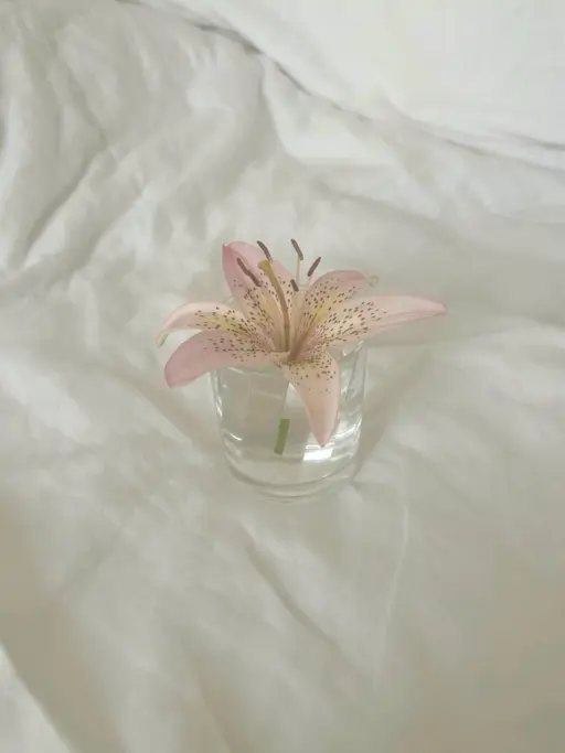 𝜗𝜚꙳.*耳つぼジュエリー⋆𐙚 ̊.💍𓈒𓏸
