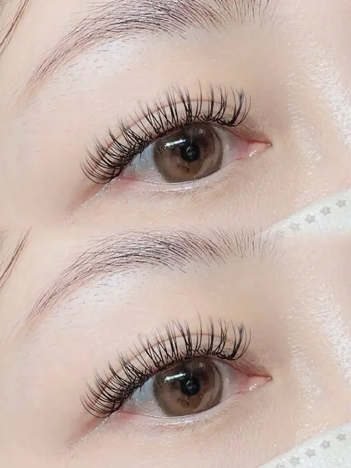 🌸バインドロック/ダブルラッシュ🌸80束