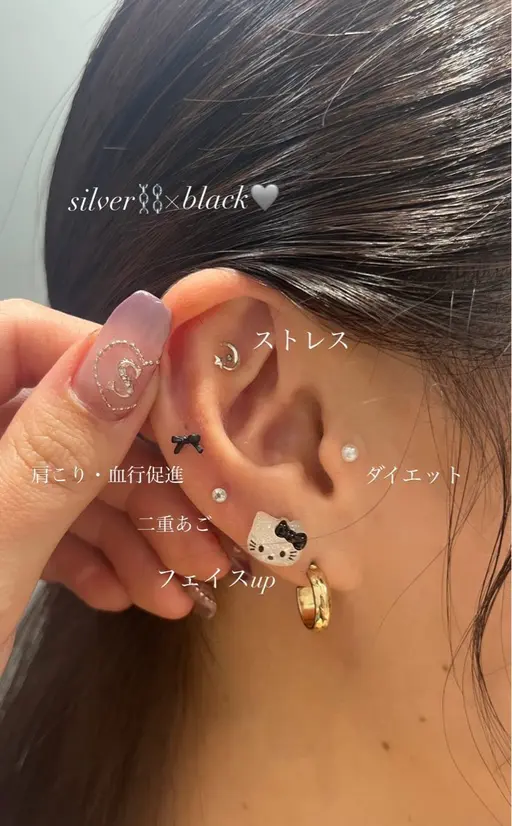 💎耳ツボジュエリー💎両耳10粒まで ¥3850