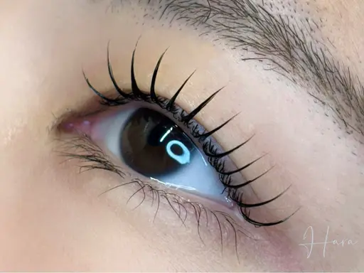 ミニモ🈹!マスカララッシュリフト 🖤´-ブラックティント🪄⋆*アイシャンプー🧴&TR付き束感仕上げ✨