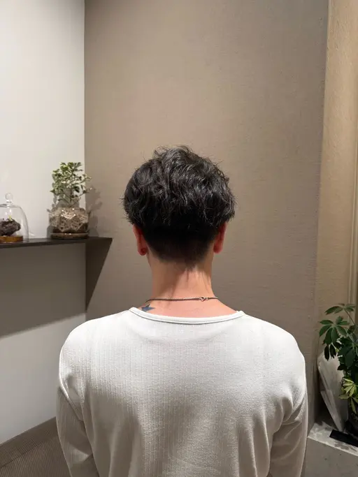 メンズカット、シャンプー(眉カットなし) ˖ ࣪⊹