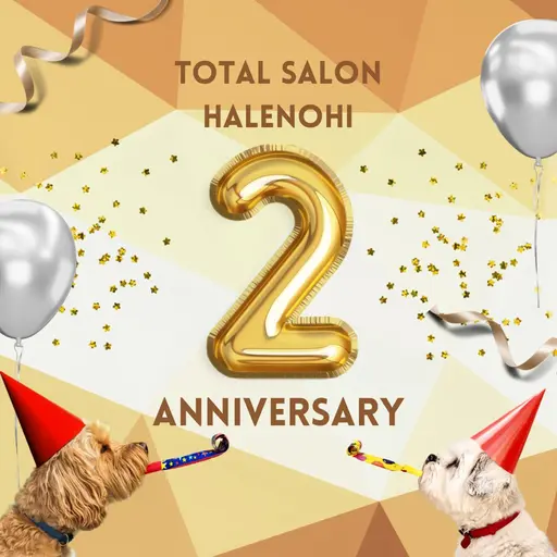 🟥限定🟥❷周年記念🍾7月末まで‼️【レディース】VIOオールオフ+ホワイトクリーム&プレゼント付き【口コミ必須】