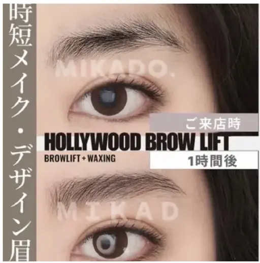 【9月限定価格】ハリウッドブロウリフト練習モデル1100円