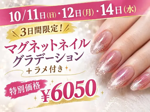【10/11・12・14の3日間限定】マグネットグラデーション＋ラメ付