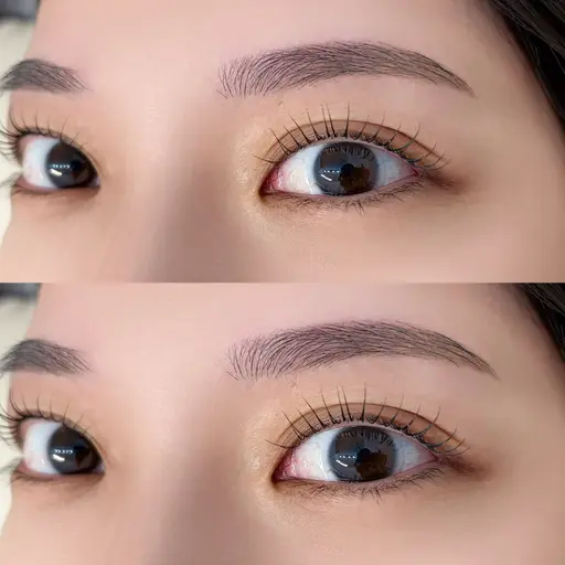 🌻まつげパーマ(上)×眉スタイリング🌻大人気のセットメニュー🦙〔マツパ/まつ毛パーマ/眉ワックス/眉毛〕