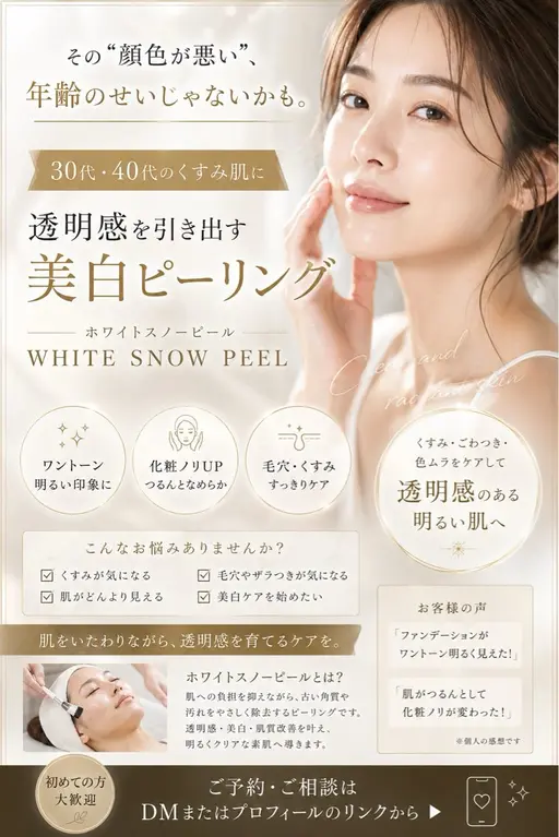 スノーピール手順確認モデル❄️募集!