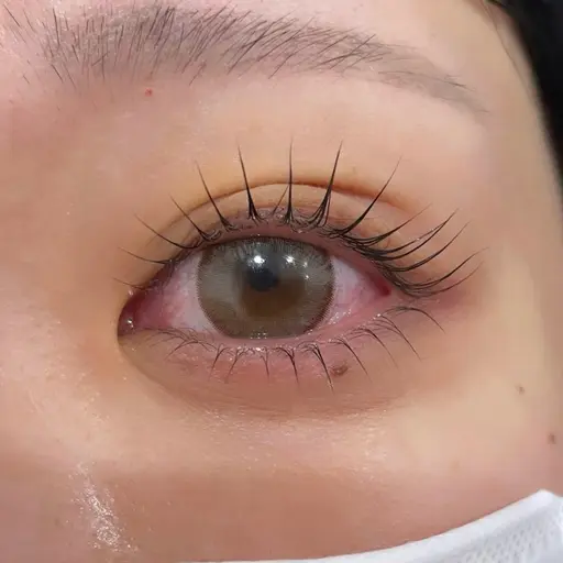 【ミニモ平日限定】上下まつ毛パーマで中顔面短縮🫧(ぱっちり小顔見え)