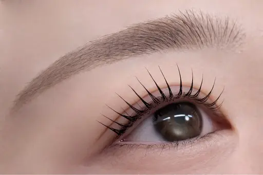 上まつげパーマorパリ✖️眉毛Wax💖 8/13.19.20.23.27.28.30.31対象外⚠️