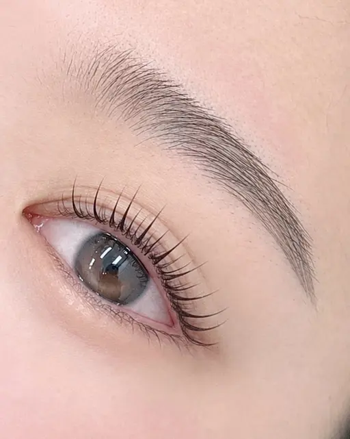 【まつげ+眉毛】まつ毛パーマ🎀+眉毛 WAX 🌿練習モデル様募集✨️
