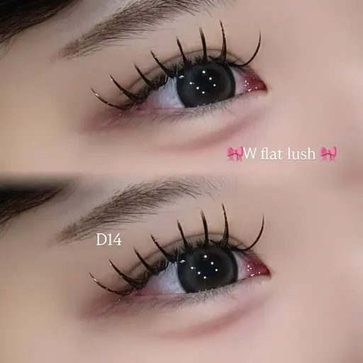 当日限定🎀バインドロックor Wフラット80束🩷【オフ別途】