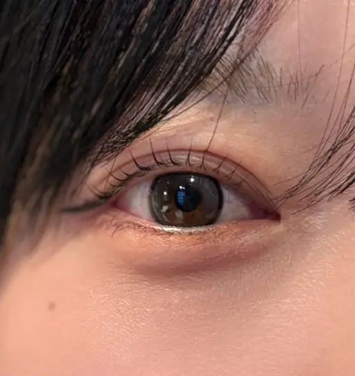 まつ毛パーマ(上)＋眉毛ワックス(間引き込み)🫧アイシャンプー・間引き込み✨