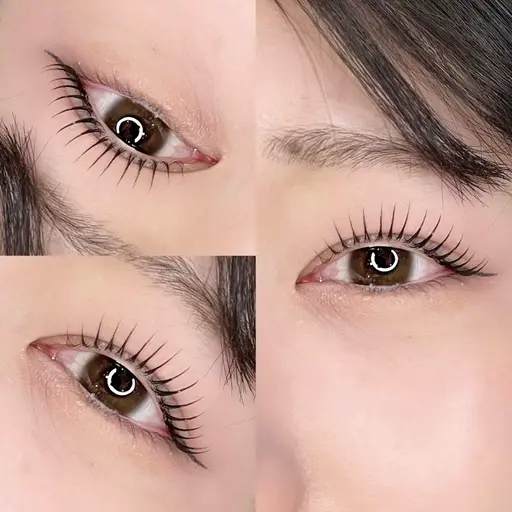 パリジェンヌラッシュリフト or まつげパーマ➕美眉WAX脱毛(間引き有り)