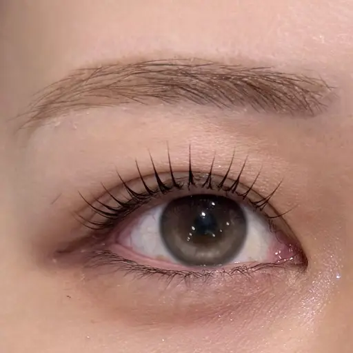 人気no1⭐️当日割引🌹 Lash lift 上× アイブロウワックス🫧マツパ+眉毛ワックス ※写真撮影込