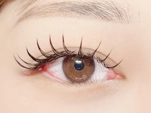 ダブルフラットラッシュ80束(160本)🎀✨※注意事項のご確認お願いいたします🙇🏻♀️