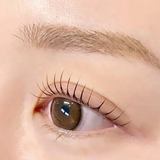パリジェンヌラッシュリフト🫧レッスンモデル ※施術時間1時間半程頂いております🙇🏻‍♀️