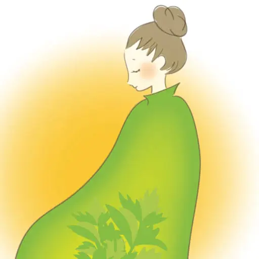 よもぎ蒸し 30分