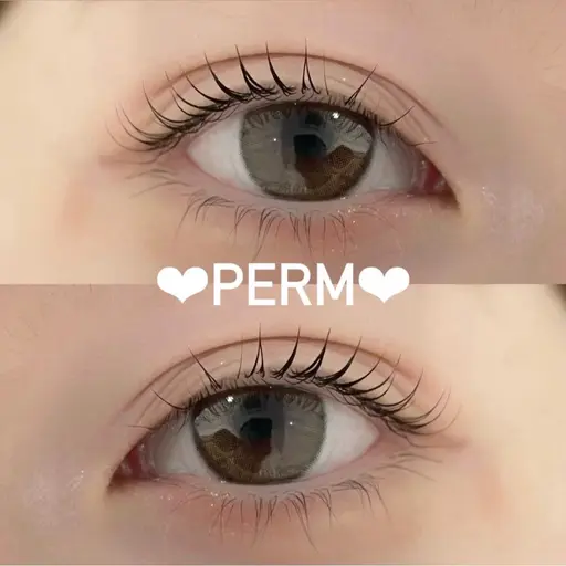 ご新規様限定🎀【プレミアム】潤いまつ毛パーマ💕
