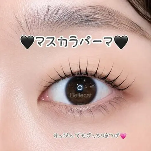 💗【7月限定!】【マスカラパーマ】💗【すぐ予約のみ】💗ミニモ5回来店OK