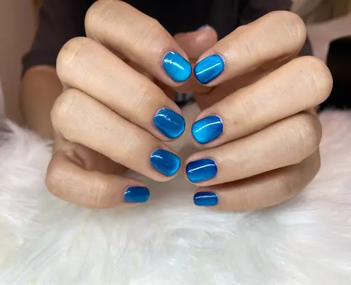 マグネットネイル💅1色。説明欄必ず確認お願いします。
