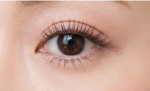 ⋆⸜🌙⸝⋆flatlash100本⋆⸜🌙⸝⋆〈オフ.付け足し❌〉