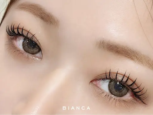 💎期間限定💎フラットラッシュ160本上下振り分けor上のみ
