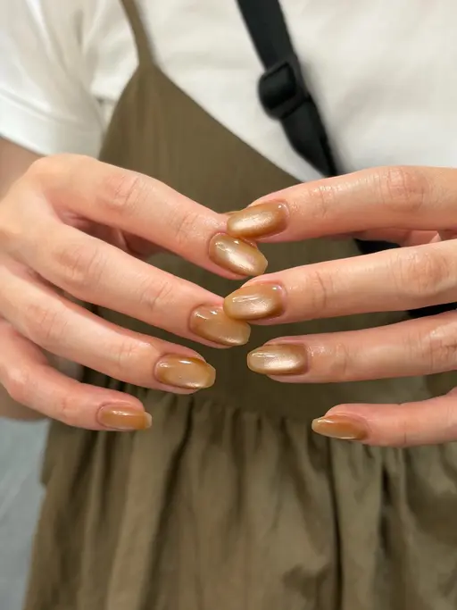 【オフなし】マグネットワンカラー