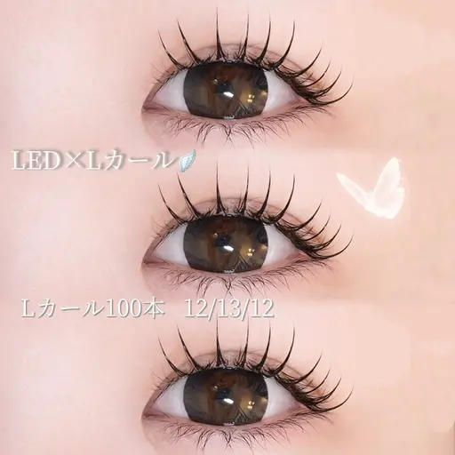 【新規限定クーポン✨️】LEDフラットラッシュ100~140本🎀(Lカール変更可･本数により値段変動致します)
