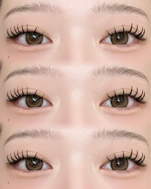 バインドロックモデル80束(変動あり)✨