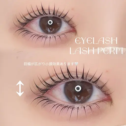 12/17限定🌟【2名限定】当日ゲリラクーポン🪽💜《ラッシュリフト上下》トリートメント付き