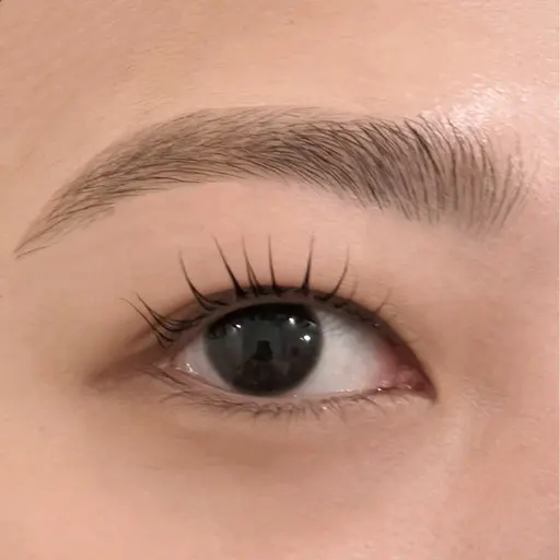【9月限定🌀🌀まつ毛パーマ🎀+眉WAX✨️】