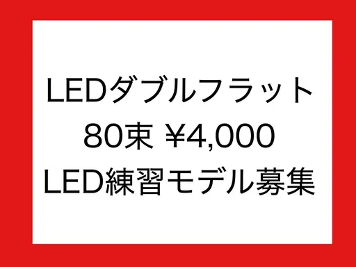 LED ダブルフラット80束　4000円