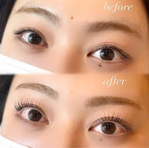 平日限定💎ご新規様✨まつ毛パーマ + 眉毛WAX✨メイク込み👁️間引きは＋700円🫧オフなし
